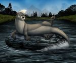  2017 butt clean_edit feral fur green_eyes grey_fur looking_at_viewer ltl male mammal mating_pose mustelid otter outside presenting presenting_hindquarters river rock seductive solo twitch_otyolf water webbed_feet 