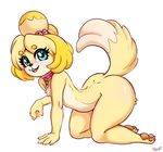  2017 all_fours animal_crossing anthro blue_eyes canine collar dog eyelashes female hair isabelle_(animal_crossing) looking_at_viewer mammal nintendo open_mouth pawpads shih_tzu simple_background solo sorcerushorserus video_games white_background 