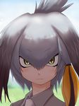  blurry close-up closed_mouth commentary_request depth_of_field expressionless eyebrows_visible_through_hair hair_between_eyes head_wings highres ikkyuu kemono_friends looking_at_viewer low_ponytail necktie official_style portrait revision shoebill_(kemono_friends) side_ponytail silver_hair solo wing_collar yoshizaki_mine_(style) 