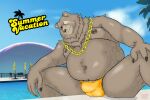 anthro bear belly ben_bigger brown_body brown_fur bulge chain_necklace clothing eye_scar facial_scar fur gold_(metal) gold_jewelry gold_necklace hi_res jenokamui jewelry looking_at_viewer male mammal mihoyo navel necklace nipples overweight overweight_male scar slightly_chubby solo speedo swimwear thiren zenless_zone_zero
