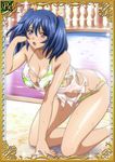  00s 1girl all_fours bashoku_youjou bikini blue_hair breasts card_(medium) cleavage curvy female hair_ornament ikkitousen large_breasts looking_at_viewer navel purple_eyes short_twintails solo standing swimsuit twintails 
