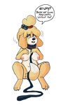  2017 alpha_channel animal_crossing anthro bell breasts canine choker collar digital_media_(artwork) dog english_text female fur hairband hand_on_breast isabelle_(animal_crossing) leash long_ears looking_at_viewer mammal navel newd nintendo nipples nude simple_background sitting slightly_chubby solo tail_between_legs tail_covering_crotch text transparent_background unusual_pupils video_games yellow_fur 