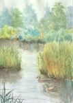  animal bird commentary_request day duck grass highres nature no_humans original outdoors painting_(medium) paruperu pond scenery traditional_media tree water watercolor_(medium) 