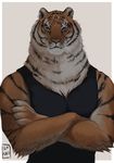  2017 anthro bengal_tiger clothed clothing crossed_arms detailed digital_media_(artwork) ear_piercing feline front_view fully_clothed fur half-closed_eyes half-length_portrait looking_at_viewer male mammal mane manly multicolored_fur orange_fur piercing portrait senkkei shirt simple_background soft_shading solo striped_fur stripes tank_top tiger two_tone_fur unknown_character whiskers 