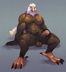  2017 avian bald_eagle balls bird claws cum eagle furikake looking_at_viewer male muscular penis signature simple_background sitting solo talons 