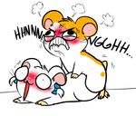  bijou blush female feral hamster hamtaro hamtaro_(series) humor male mammal rodent sex straight 