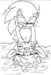  amy_rose sega sonic_team sonic_the_hedgehog tagme 