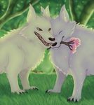  2017 brown_eyes canine forest fur itoruna mammal smile tree white_fur wolf 