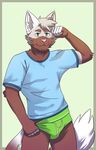  2017 brown_fur bulge cat clothed clothing feline flexing fur green_eyes howeed_(artist) looking_at_viewer mammal partially_clothed shirt underwear white_fur 