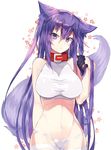  animal_ears bare_arms bare_shoulders breasts collar commentary_request cowboy_shot hair_between_eyes highres impossible_clothes kasuka_(kusuki) large_breasts long_hair looking_at_viewer nanacy_calvados navel original panties purple_eyes purple_hair red_collar solo stomach tail taut_clothes underwear very_long_hair white_background white_legwear white_panties wide_hips wolf_ears wolf_tail 