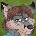  2017 anthro canine eyewear fox glasses hair headshot logan_(fox) long_hair looking_at_viewer male mammal simple_background solo vincent_vontrap 