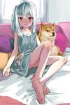  1girl barefoot character_request dog doge dress feet female haguhagu_(rinjuu_circus) indoors on_bed red_eyes side_ponytail soles solo toes 