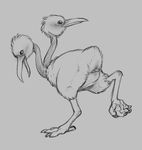  2017 animal_genitalia avian bird butt cloaca doduo female feral looking_at_viewer looking_back monochrome multi_head nintendo open_mouth pok&eacute;mon simple_background solo video_games white_background yaroul 