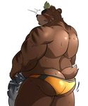  2017 anthro ashigara blush brown_fur butt clothing duo ebear fur maldu male male/male simple_background slightly_chubby swimsuit tokyo_afterschool_summoners white_background 