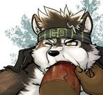  2017 anthro black_fur black_nose canine cheek_bulge disembodied_penis erection fellatio fur headband hi_res horkeukamui kemono male mammal multicolored_fur one_eye_closed oral oral_penetration penetration penis sex simple_background tokyo_afterschool_summoners vein white_fur wolf wulfer-shepherd yellow_eyes 