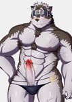  2017 anthro balls blush canine clothed clothing erection fur gawaragawa_(artist) headband horkeukamui humanoid_penis kemono looking_at_viewer male mammal multicolored_fur muscular muscular_male nipples one_eye_closed penis skimpy solo standing thong tokyo_afterschool_summoners topless white_fur wink wolf 