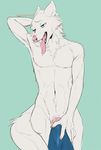  animal_genitalia animal_penis anthro blue_eyes blush bulge canine canine_penis claws covering covering_self drooling fur hand_behind_head hauringu male mammal mostly_nude navel_tuft open_mouth pawpads penis saliva solo tongue tongue_out white_fur wolf 