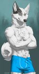  2017 anthro athletic black_nose blue_background body_hair canine chest_hair clothed clothing crossed_arms curled_tail dog fur grey_eyes grey_fur looking_at_viewer male mammal multicolored_fur muscular pose shorts simple_background smile solo standing swim_shorts swimsuit teeth topless truegrave9 two_tone_fur white_fur 
