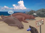  abdominal_bulge beach burping clothing footwear lying mammal marine on_back on_front oral_vore pinniped post_vore saliva sea sea_lion seaside shoes sign speech_bubble strega swallowing text vore water 