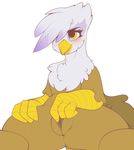  2017 absurd_res avian beak blush feathers female friendship_is_magic gilda_(mlp) gryphon hi_res kribbles my_little_pony pussy simple_background solo white_background 
