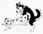  101_dalmatian_street 101_dalmatians animal_genitalia animal_penis animal_vulva animated black_body black_fur black_nose black_spots canid canine canine_balls canine_genitalia canine_penis canine_vulva canis dalmatian delilah_(101_dalmatians) digitoxici disney domestic_dog duo female female_penetrated feral fur genitals hansel_(101_dalmatians) heterochromatic_ears hi_res husky knotting male male/female male_penetrating male_penetrating_female mammal monochrome nordic_sled_dog penetration penis sex spitz spots vaginal vaginal_penetration vulva white_body white_fur 