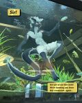 absurd_res anthro aquarium aquatic arm_markings blue_body blue_fur blue_hair bottomwear clothed clothing coiro_(typeera) detailed_background dragon dragon_tail european_mythology facial_markings fangs fish fish_tank fluffy fur furred_dragon furred_scalie hair happy head_markings hi_res inside male markings meme mythological_creature mythological_scalie mythology neck_tuft offscreen_character open_mouth public restaurant scalie shorts smile solo striped_markings stripes swimming swimwear tail tail_tuft teeth teeth_showing topless topless_male tuft typeera underwater vivarium water western_dragon
