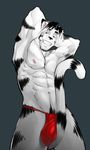  blue_eyes clothing feline invalid_tag looking_at_viewer male mammal simple_background smile solo spots suggestive thong 