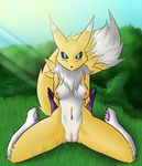  1girl animal_ears arms_behind_back black_sclera blue_eyes breasts bush detached_sleeves digimon feet fox_tail full_body furry grass green_background highres looking_at_viewer marbearis medium_breasts navel nipples no_humans nude outdoors paws pussy renamon sitting sky smile solo spread_legs sunlight tail tree uncensored 