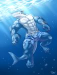  2015 4_toes 5_fingers abs absurd_res anthro barefoot biceps big_muscles blue_skin blue_theme claws clothed clothing digital_media_(artwork) fangs fin fin_piercing fish front_view furgonomics furry-specific_piercing grin hi_res male marine muscular muscular_male pecs piercing red_eyes scales scar shark shorts smile solo swimsuit tail_fin takemoto_arashi teeth toe_claws toes topless underwater water white_skin wristband 