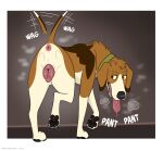 american_foxhound andromorph animal_genitalia animal_vulva anus aroused badfurgood blush blush_lines bodily_fluids breath butt canid canine canine_genitalia canine_vulva canis domestic_dog drooling feral foxhound genital_fluids genitals hi_res hunting_dog in_heat intersex mammal panting pawpads paws saliva scent_hound solo steam tail tail_motion tailwag tongue tongue_out trans_(lore) trans_man_(lore) vaginal_fluids vulva