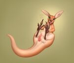 anatomically_correct anatomically_correct_genitalia anatomically_correct_penis animal_genitalia animal_penis balls balls_above_penis blep blue_eyes cloacal_penis cloudweaver_(artist) countershading erection feet feral foot_focus genitals gradient_background hi_res horizontal_pupils kangaroo kangaroo_genitalia lying macropod male mammal marsupial marsupial_penis on_back penis presenting presenting_balls presenting_penis pupils signature silly_face simple_background solo tail tapering_penis tapering_tail tongue tongue_out whisker_spots whiskers