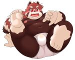 2026 ailurid anthro blush bulge clothing dokyudokyu1 feet hi_res kemono male mammal open_mouth overweight overweight_male red_panda simple_background solo underwear