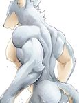  abs anthro butt canine chung0_0 colored hi_res male mammal muscular nude pecs rear_view simple_background solo white_background 