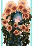  bangs bare_arms blue_background blue_bow blue_dress blue_eyes blue_hair bow cirno commentary dress flower grin hair_bow highres holding holding_flower looking_at_viewer mefomefo red_ribbon ribbon short_hair smile solo standing sunflower tanned_cirno teeth touhou two-tone_background white_background 