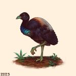  2025 alexpahomov beak black_body black_feathers black_wings blue_chest brown_eyes digital_media_(artwork) digital_painting_(artwork) feathers feral green_beak green_legs grey-winged_trumpeter grey_back mud painting_(artwork) plant simple_background solo teal_chest white_background wings 
