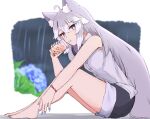  1girl absurdres ahoge animal_ear_fluff animal_ears bare_shoulders barefoot black_shorts blue_eyes blue_flower blue_nails blurry blurry_background bubble_tea cloud cloudy_sky collared_shirt commentary_request cup depth_of_field disposable_cup dress_shirt drinking_straw flower from_side grey_hair hair_between_eyes highres holding holding_cup leaning_forward long_hair looking_at_viewer looking_to_the_side multicolored_hair nail_polish nyaha original rain shirt short_shorts shorts sitting sky sleeveless sleeveless_shirt solo streaked_hair very_long_hair white_hair white_shirt 