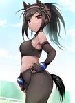  animal_ears bare_shoulders black_gloves black_hair black_legwear blue_sky breasts brown_eyes brown_thoroughbred_(kemono_friends) cloud commentary_request crop_top dark_skin day elbow_gloves extra_ears eyebrows_visible_through_hair fingerless_gloves from_side gloves hand_on_hip horizontal_pupils horse_ears horse_girl horse_tail japan_racing_association kemono_friends long_hair looking_at_viewer medium_breasts pantyhose sky smile solo tail tank_top tsukasawa_takamatsu 