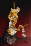  2010 abuse anthro arms_above_head back_turned bdsm blood blush bound breasts clothing countershading crying dktorzi feline female forced kung_fu_panda mammal master_tigress neko nude pants pants_down pussy_juice rape rope side_boob slave solo tail_grab tears tiger 