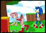  a amy_rose sonic_team sonic_the_hedgehog thor 
