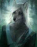  2017 5_fingers anthro biped black_nose blue_eyes bust_portrait canine claws clothed clothing day detailed_background facial_markings fox front_view fur grey_fur hair hi_res humanoid_hands inner_ear_fluff juliathedragoncat long_hair looking_at_viewer male mammal markings outside pawpads plant portrait shadow signature snout solo white_hair 