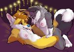  2017 anthro banana blue_eyes blurred_background breasts brown_eyes canine cheek_tuft chest_tuft claws clitoral_hood collaboration dildo dog elbow_tufts eye_contact female female/female food fruit fuzzerfox gloves_(marking) hand_on_thigh husky inner_ear_fluff kashmere kneeling lying mammal markings neck_tuft nipples nude object_in_mouth on_back pussy sex_toy smile socks_(marking) spread_legs spreading strapon toe_claws tuft 