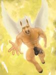  2016 abs animal_genitalia animal_penis anthro athletic balls equine equine_penis erection feathered_wings feathers flared_penis flying front_view hi_res hooves looking_at_viewer male mammal medial_ring muscular navel nipples nude pecs pegasus penis reaching_towards_viewer rov signature solo wings 