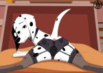 101_dalmatian_street 101_dalmatians absurd_res animal_genitalia animal_vulva anus bdsm canid canine canine_genitalia canine_vulva canis clothed clothed_feral clothing collar dalmatian delilah_(101_dalmatians) disney domestic_dog female feral frommarstomercury fur garter_straps genitals hi_res legwear lingerie lingerie_on_feral mammal solo spots stockings vulva white_body white_fur