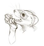 ambiguous_gender anthro digital_media_(artwork) domestic_ferret duo feet foot_lick licking lustypuppyartz mammal mustelid musteline paws tongue true_musteline weasel worship worshipping_feet