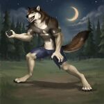 1:1 2026 4_toes 5_fingers absurd_res after_transformation anthro athletic athletic_anthro athletic_male barefoot biped black_claws black_lips black_nose black_pawpads black_sclera bottomwear brown_body brown_fur bryn_(wandering_wolf_guy) canid canine cheek_tuft claws clothing cloud crescent_moon curled_fingers denim denim_bottomwear denim_clothing destroyed_clothing digital_media_(artwork) digital_painting_(artwork) digitigrade dipstick_fingers dipstick_tail dipstick_toes facial_tuft fangs feet finger_claws fingers fluffy fluffy_tail forest fur grass hi_res inner_ear_fluff lakhanto lips male mammal mane markings moon multicolored_body multicolored_fur mythological_canine mythological_creature mythology navel neck_tuft night open_mouth outside painting_(artwork) pawpads paws plant shaded sharp_teeth shirt sky snout solo standing star starry_sky story story_in_description t-shirt tail tail_markings tan_body tan_fur teeth tight_bottomwear tight_clothing tight_shirt tight_t-shirt tight_topwear toe_claws toes tongue topwear torn_bottomwear torn_clothing torn_shirt torn_t-shirt torn_topwear tree tuft werecanid werecanine werecreature werewolf whisker_spots wide_stance yellow_eyes