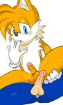  anthro balls blue_fur canine cum dripping duo erection fox fur hedgehog hi_res jetfrozen male male/male mammal miles_prower penis sex sonic_(series) sonic_the_hedgehog 