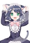  1girl :3 :d absurdres against_glass animal_ears arms_up bangs bell black_dress black_hair blush bow cat_ears cat_girl cat_tail collar curly_hair cyan_(show_by_rock!!) dress ear_grab eyebrows_visible_through_hair frilled_collar frilled_dress frills green_eyes hairband highres jingle_bell lolita_hairband long_hair long_sleeves looking_at_viewer open_mouth pink_bow ribbon show_by_rock!! simple_background smile solo sunlight tail tareme upper_body white_background white_ribbon xiaosamiao 