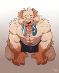  2017 abs anthro biceps big_muscles canine chest_tuft claws clothing dog fur hi_res male mammal muscular muscular_male pecs takemoto_arashi tuft 