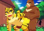  absurd_res anal bear cloud cum feline forest grass hands-free hi_res juuichi_mikazuki male male/male mammal masshiro morenatsu musclegut muscular orgasm overweight pecs penis sky sweat tiger torahiko_(morenatsu) tree 