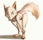  2017 amber_eyes anthro bent_over canine clothed clothing dipstick_tail disney fan_character female fox gloves_(marking) looking_at_viewer mammal markings multicolored_tail panties simple_background socks_(marking) solo sprinkah standing underwear white_background zootopia 